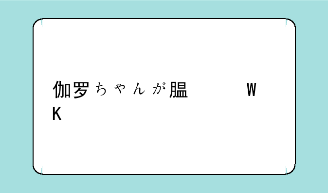 伽罗ちゃんが腿法角色解析