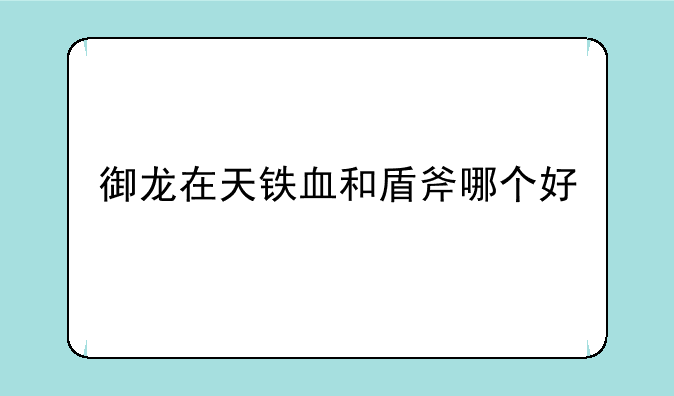 御龙在天铁血和盾斧哪个好