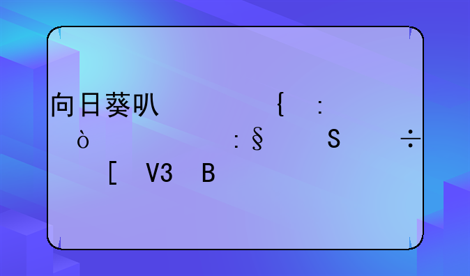 向日葵可以连接鼠标玩魔兽世界吗