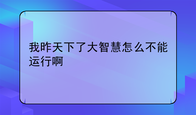 我昨天下了大智慧怎么不能运行啊