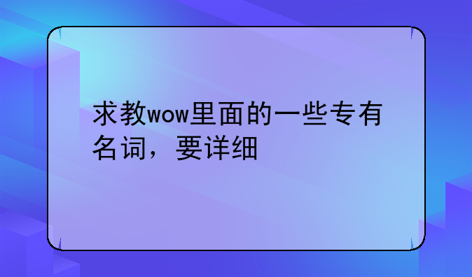 求教wow里面的一些专有名词，要详细