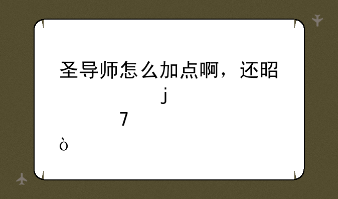 圣导师怎么加点啊，还是练级的那种？
