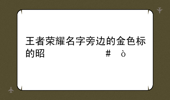王者荣耀名字旁边的金色标的是什么