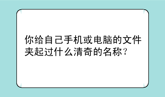 你给自己手机或电脑的文件夹起过什么清奇的名称？