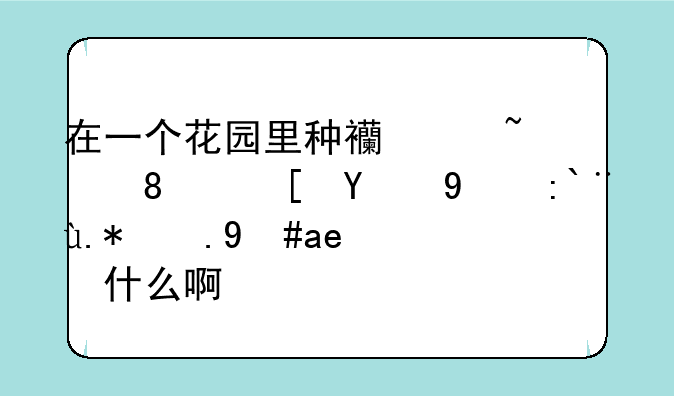 在一个花园里种西红柿、西瓜的那个