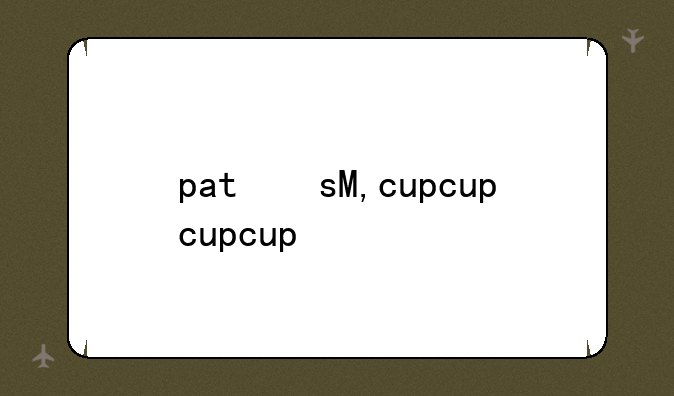 pat文件