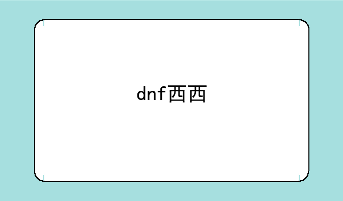 dnf西西