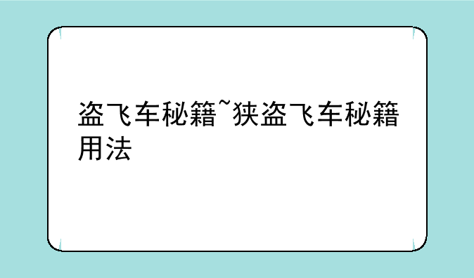 盗飞车秘籍~狭盗飞车秘籍用法