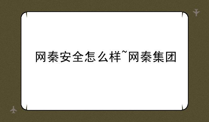 网秦安全怎么样~网秦集团