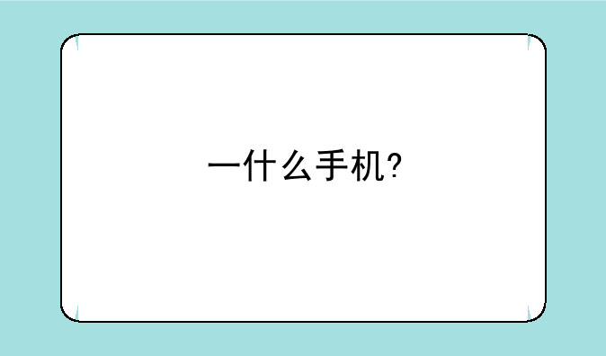 一什么手机?