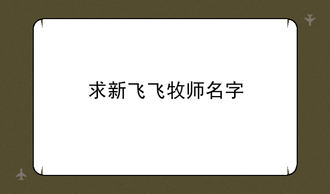 求新飞飞牧师名字