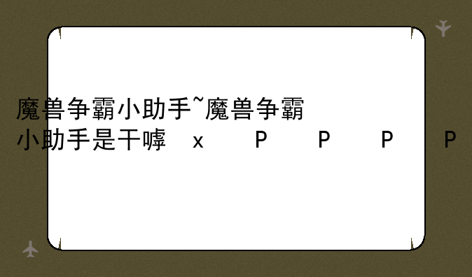 魔兽争霸小助手~魔兽争霸小助手是干嘛的