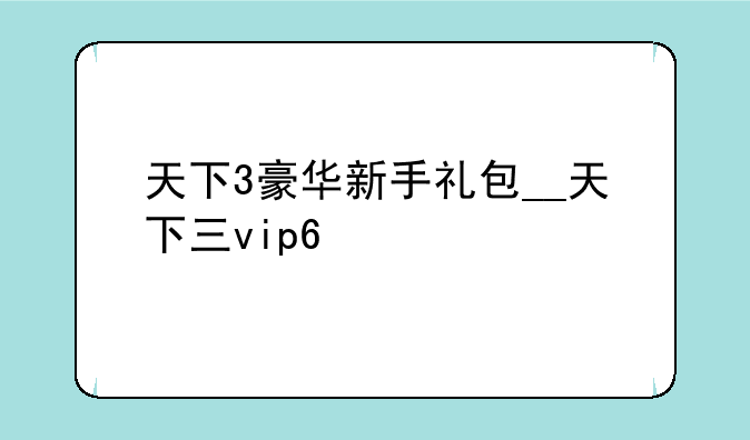 天下3豪华新手礼包__天下三vip6