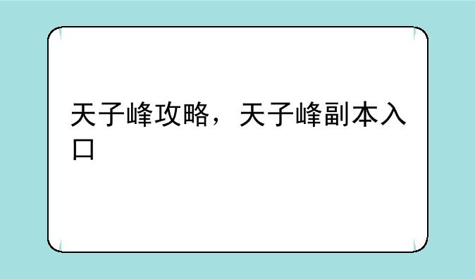 天子峰攻略，天子峰副本入口