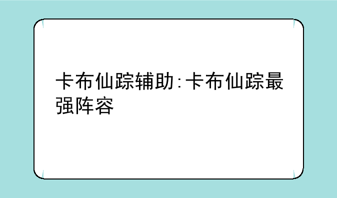 卡布仙踪辅助:卡布仙踪最强阵容